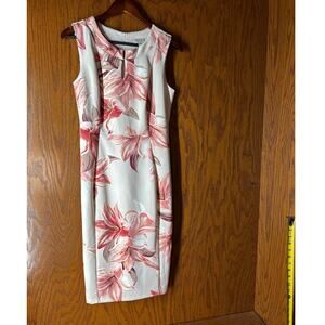 Enfocus Studio Sleeveless Dress Size 8